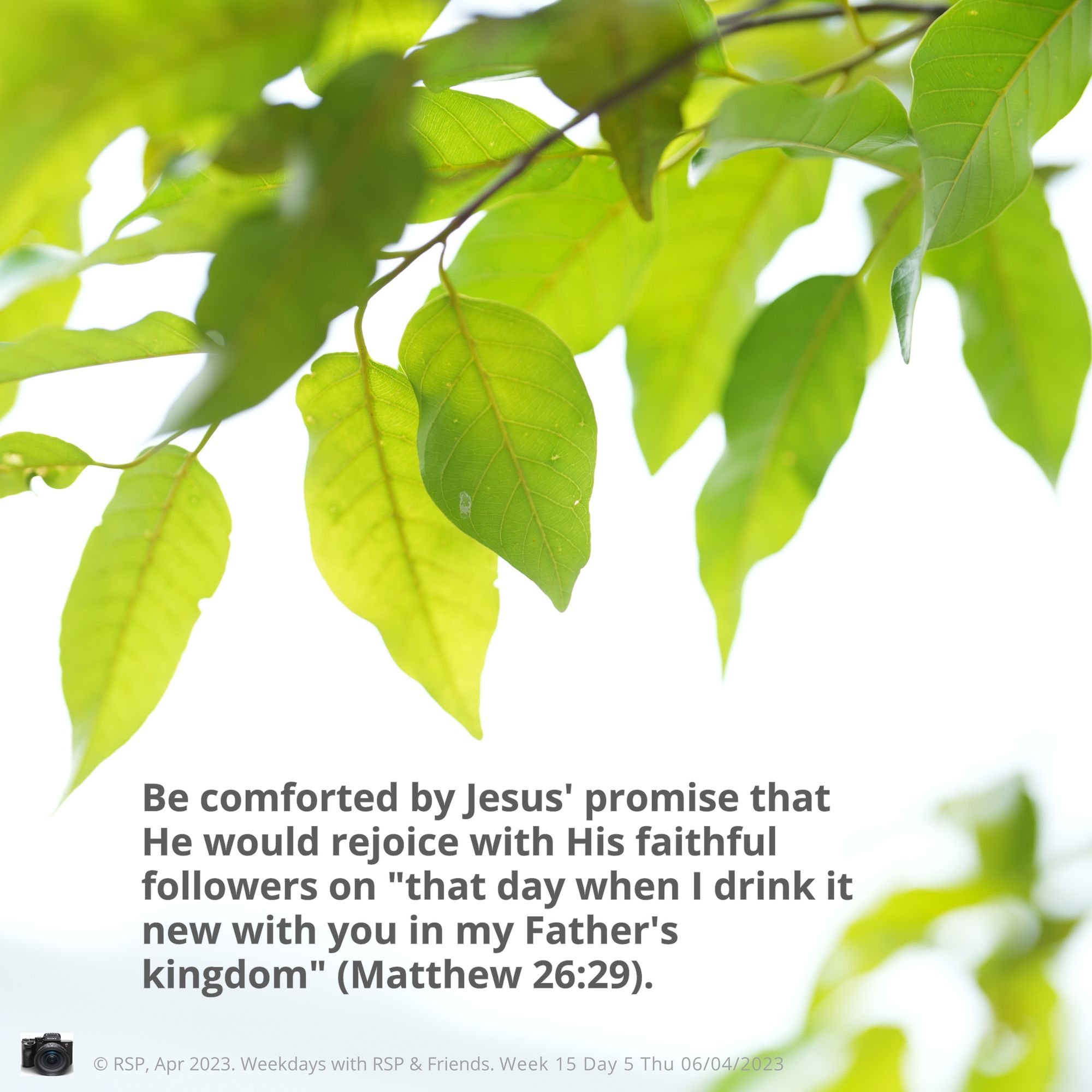 Humility Loyalty Claims Tests humility-loyalty-claims-tests