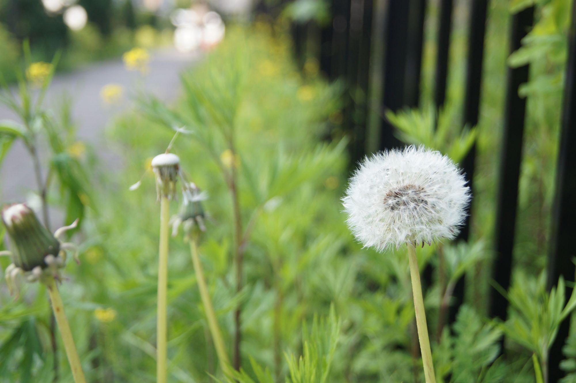 QT 23/05/2025 Fri. Ephesians 6:1–9. Serving Christ Daily before the ...