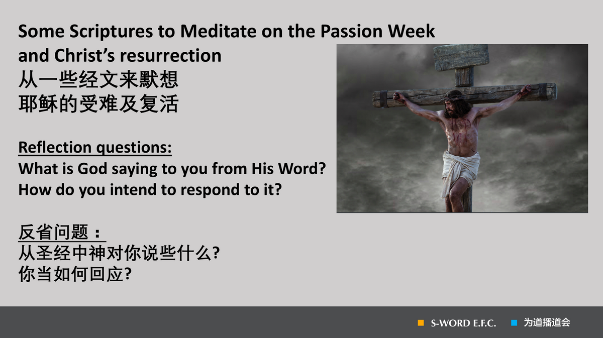 Passion Week Scripture Meditation
