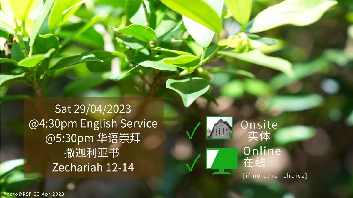 Sat 29/04/2023 Worship Service 崇拜聚会. Zechariah 撒迦利亚书 12:1—14:21.