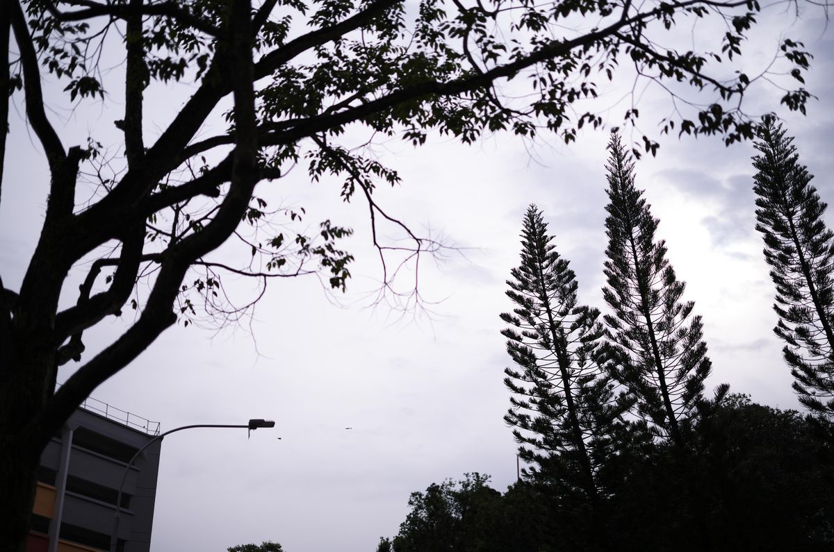 QT 27/08/2025 Wed. Ezekiel 32  The Glory That Fades 消逝的荣耀