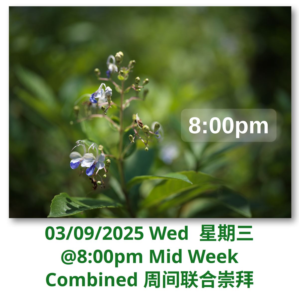 20250903 Worship