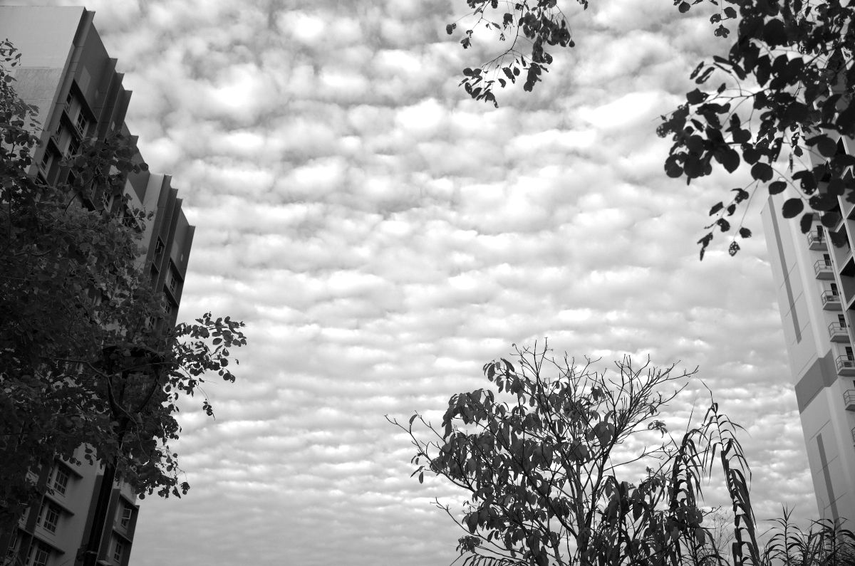 QT 14/11/2025 Fri. Colossians 3:18–4:1 Ordinary life becomes  sacred ground 平凡生活成为圣洁之地