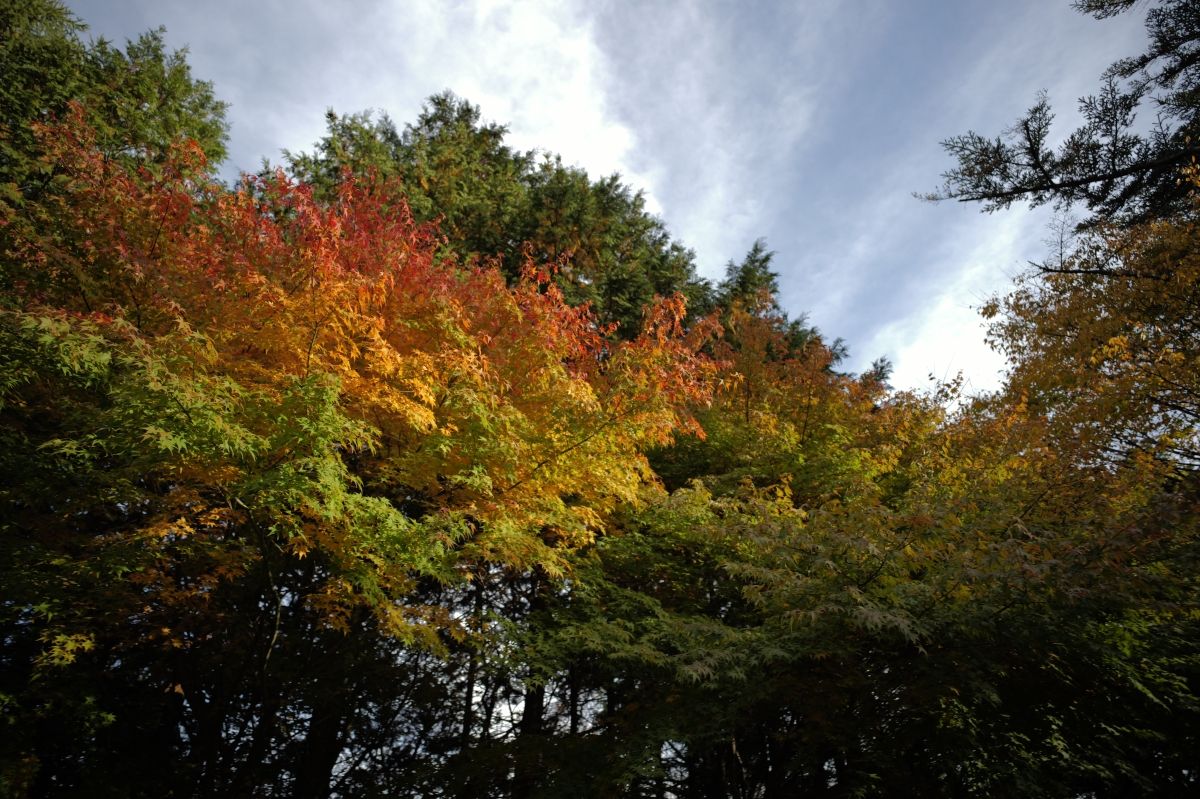 QT 27/11/2025 Thu. Nahum 1 The Blazing Comforter 烈火般的安慰者