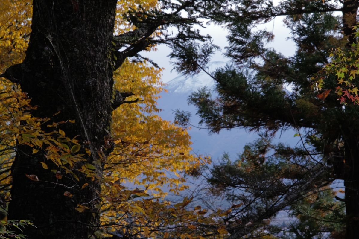 QT 28/11/2025 Fri. Colossians 4:7–18  Grace be with you 愿恩惠与你们同在