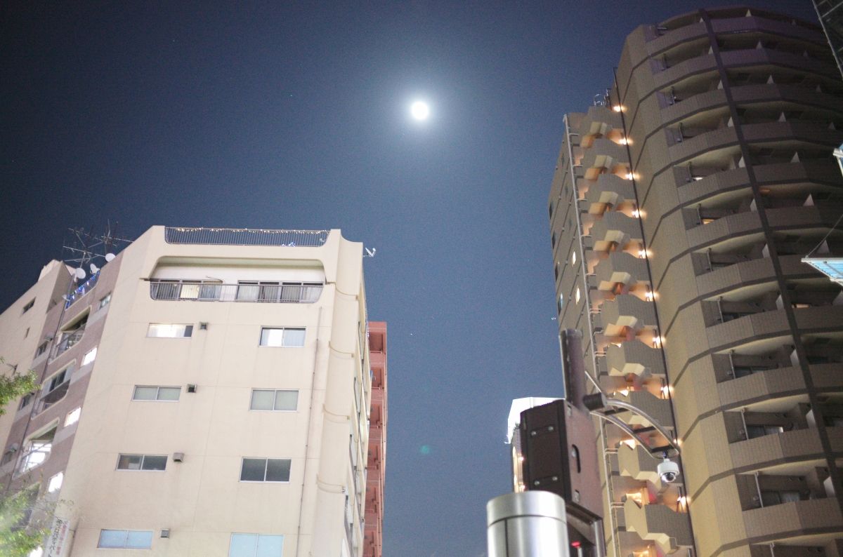 QT 08/12/2025 Mon. Zephaniah 3 “The Lord Rejoices Over You” “耶和华因你欢喜”