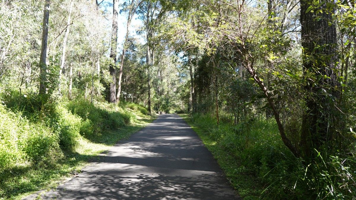 QT 23/12/2025 Tue. Zechariah 11 Follow The Good Shepherd 跟随良善的牧者