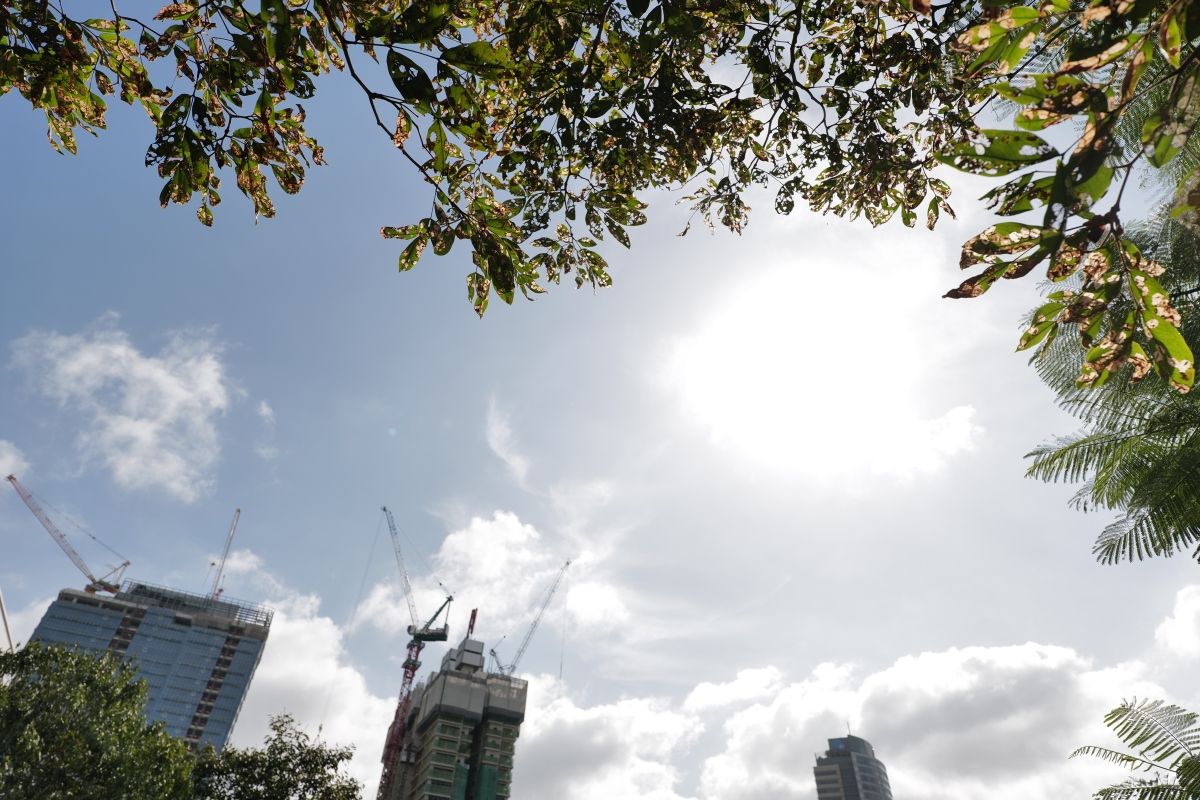 QT 26/12/2025 Fri. Zechariah 14 The King Who Comes to Reign 降临掌权的君王