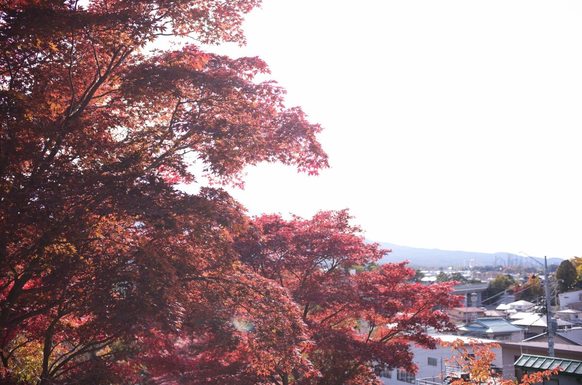 QT 30/12/2025 Tue. Malachi 3 God The Refiner 神是炼净者