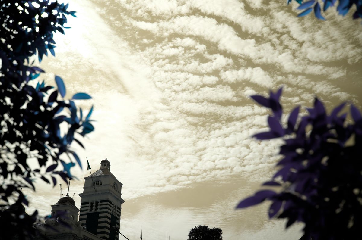 QT 15/12/2025 Mon. Zechariah 4 By His Spirit, Not Human Prowess 靠圣灵而非人力