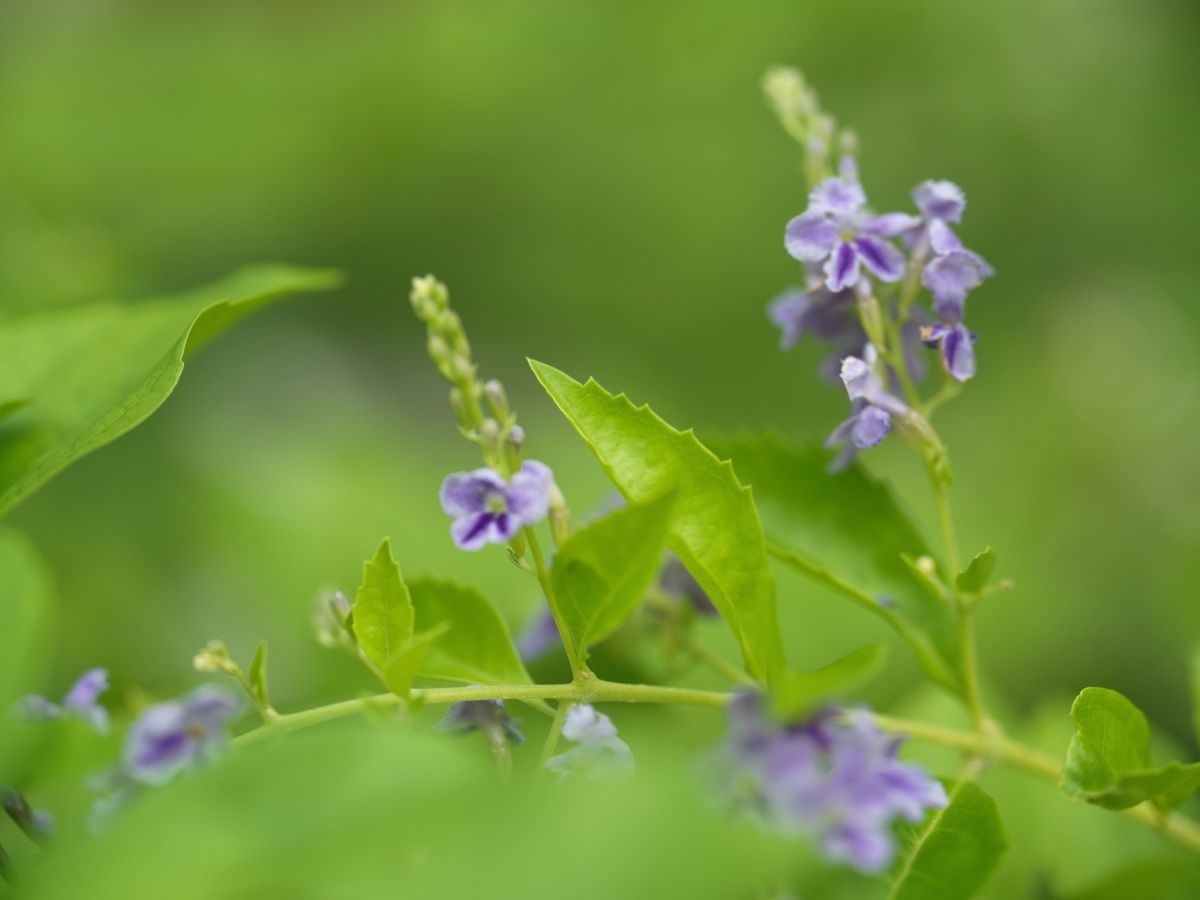 QT 28/01/2026 Wed. John 20 From Empty Tomb to Living Faith 从空坟墓到活出的信仰