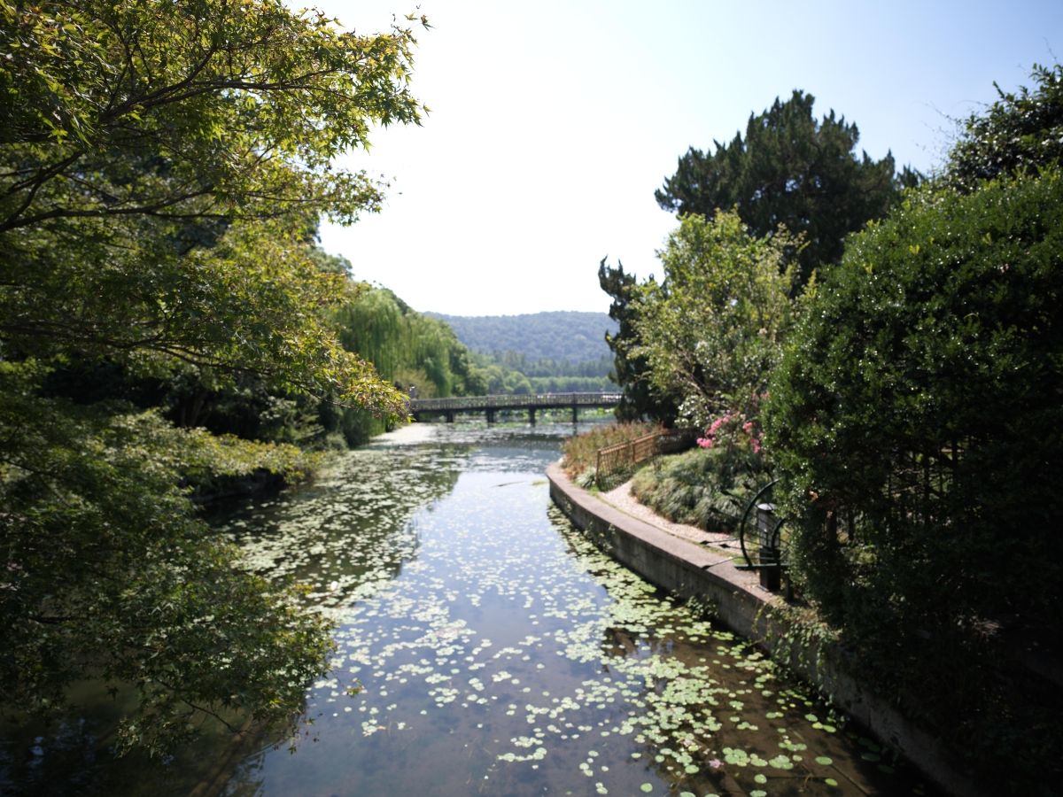 QT 05/01/2026 Mon. When Three Teachers Meet (Nicodemus, Jesus, John the Baptist): A Devotion on John 3 《三位教师的相遇》（尼哥底母、耶稣、施洗约翰）：约翰福音第三章灵修