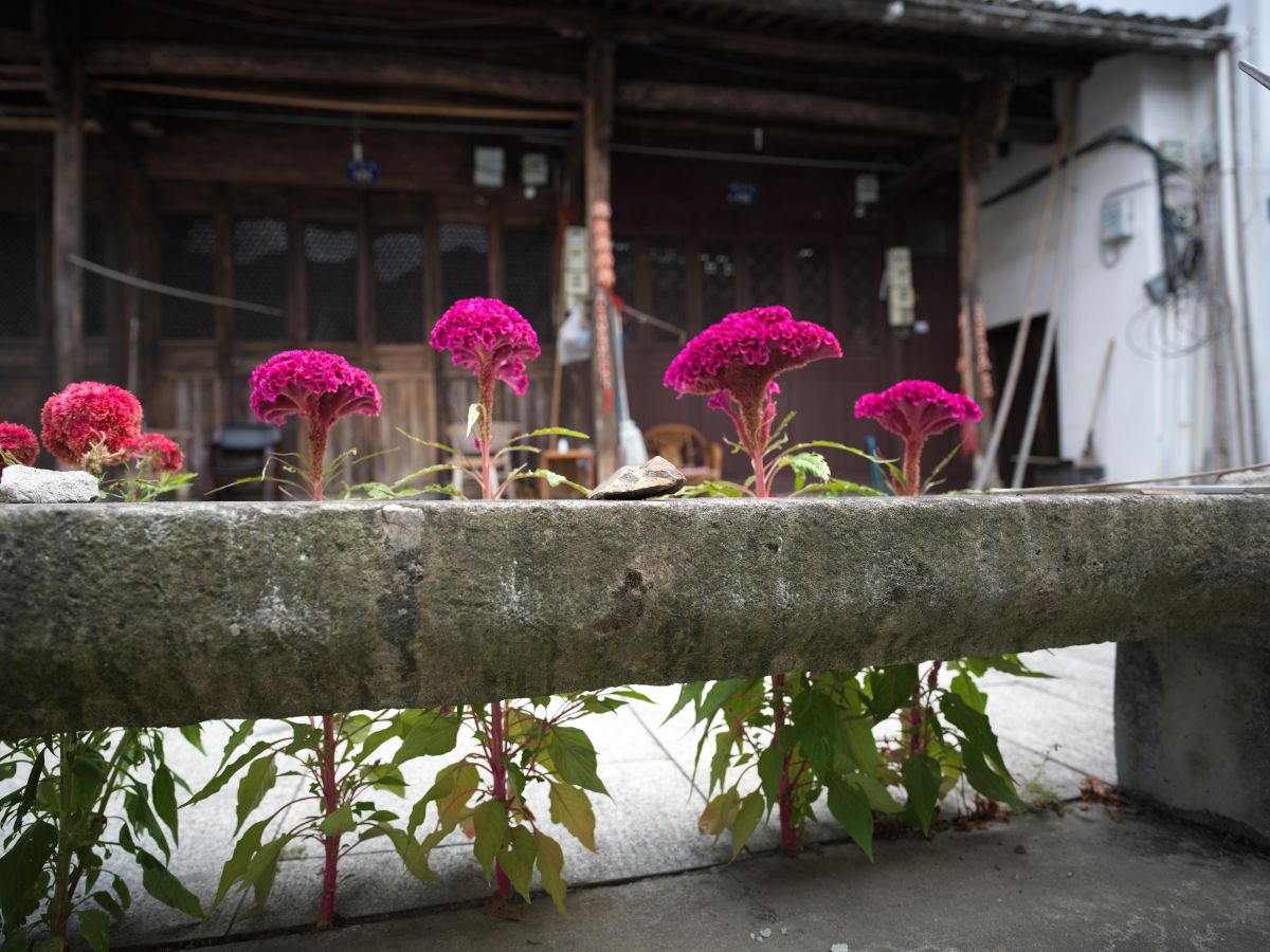 QT 07/01/2026 Wed. John 5. Gospel Alive—Overcoming Rigid Legalism 活现福音——战胜僵化的律法主义