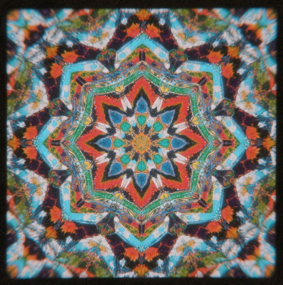 QT 22/01/2026 Thu. John 16. The Spirit’s Kaleidoscope: Peace, Conviction, Lamentation, and Joy 圣灵的万花筒：平安、指证、哀叹与喜乐