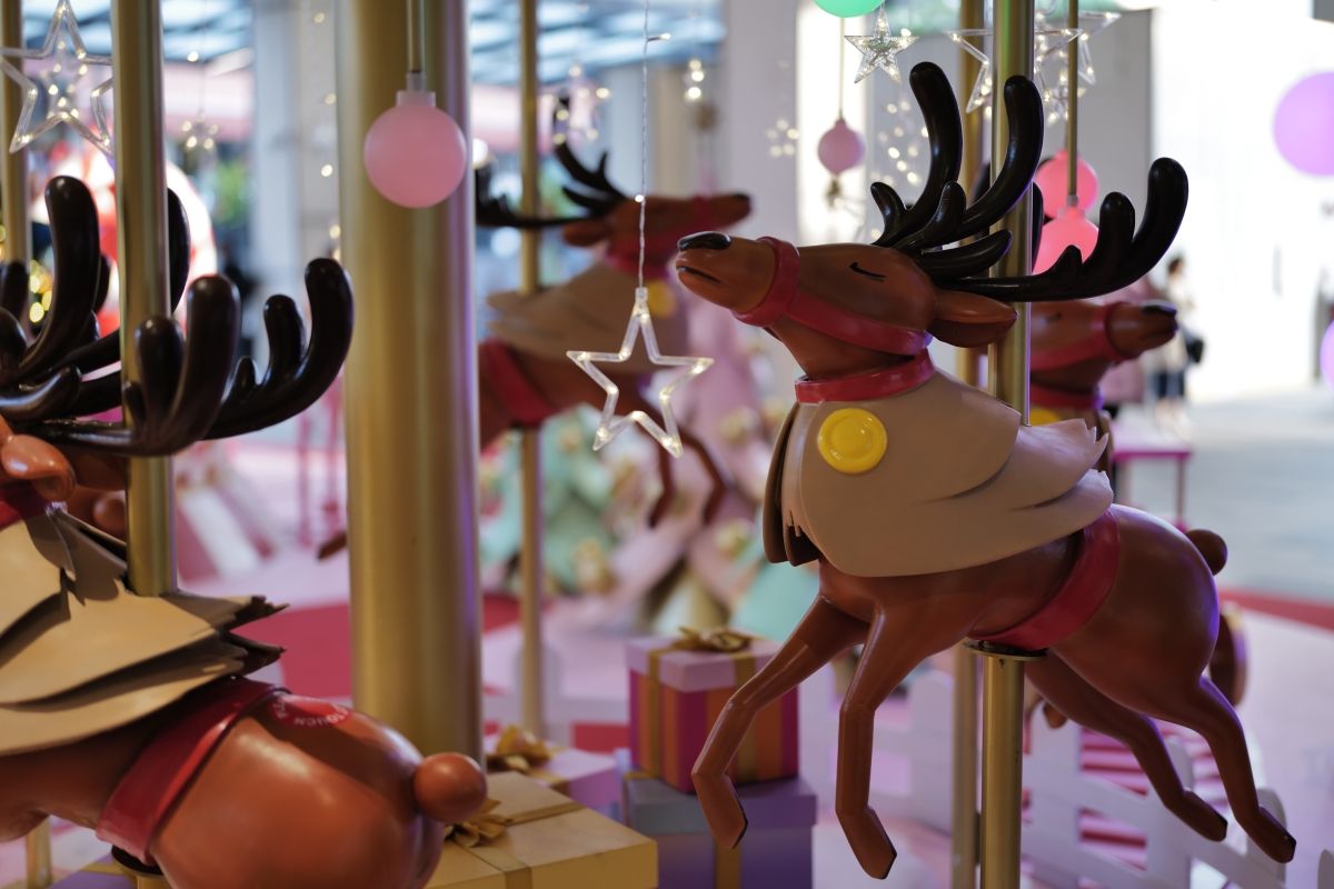 QT 25/01/2026 Mon. John 18. John & Peter: Following Christ When It Costs? 约翰与彼得：代价高昂时跟随基督?