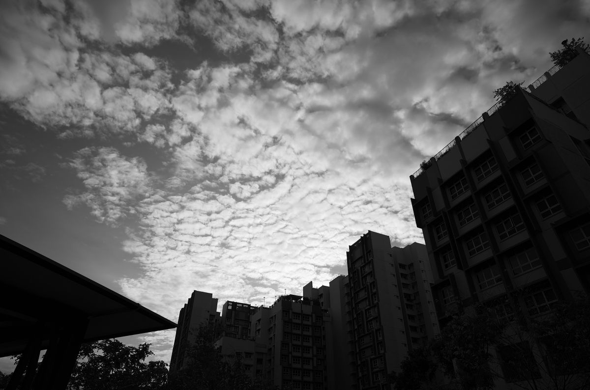 QT 23/02/2026 Mon. Matthew 17. The Messiah in His Full Glory 荣耀显现的弥赛亚