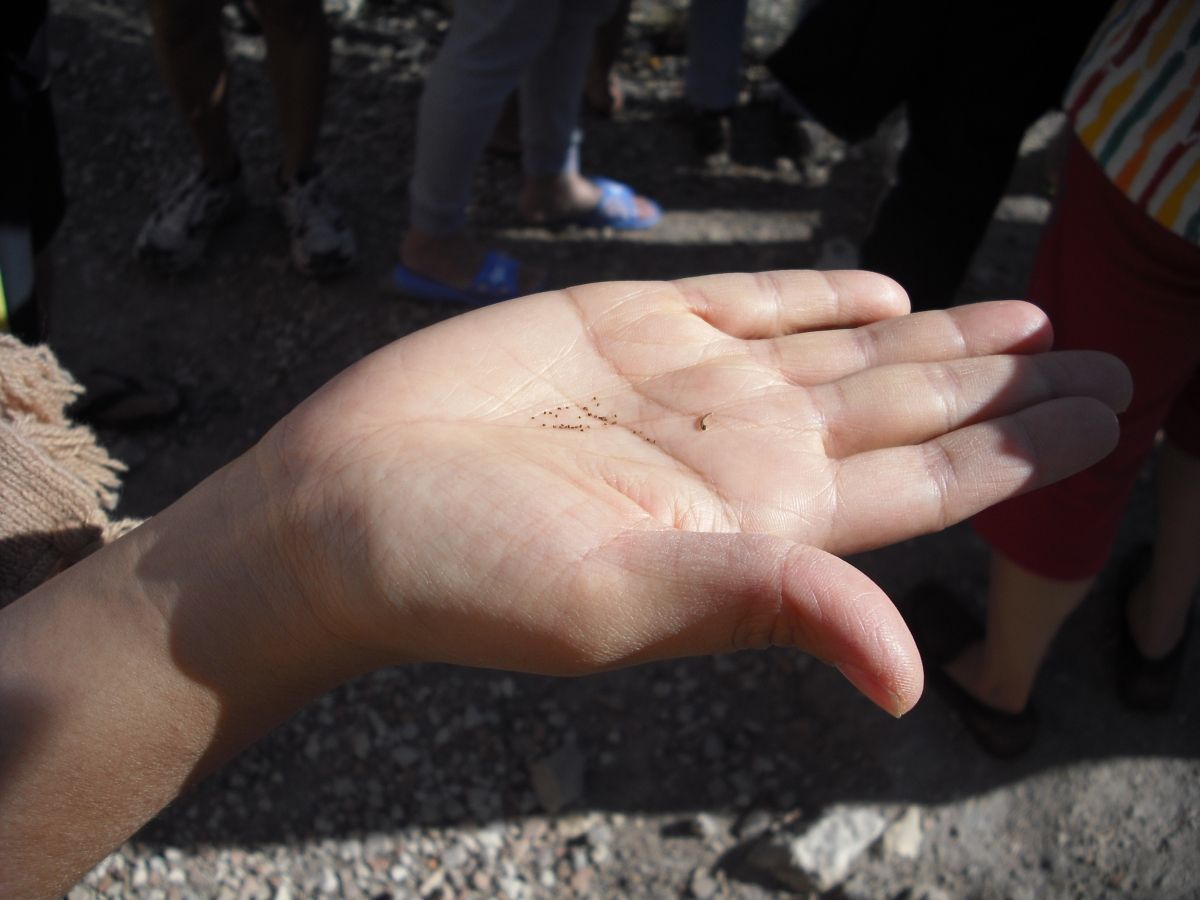 QT 16/03/2026 Mon. Mark 4 Are you the insider or outside? 你是局内人还是局外人？