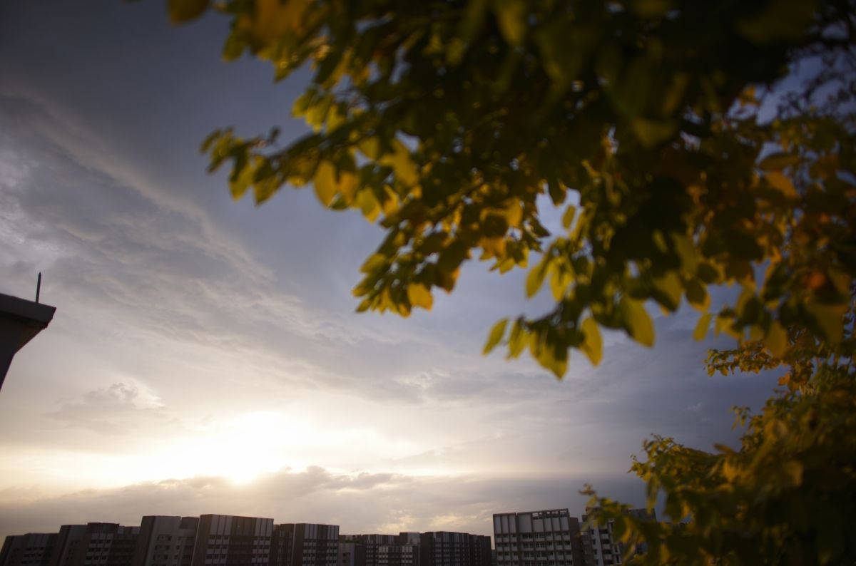 QT 18/03/2026 Wed. Mark 6. From Rejection to Provision: Trusting Jesus in Mark 6 从拒绝到供应：在马可福音6章中信靠耶稣