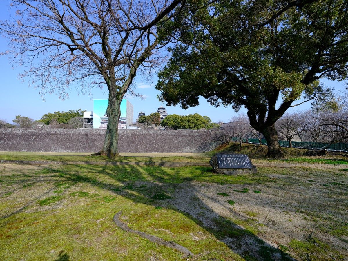 QT 02/04/2026 Thu. Luke 1 Young and Old, Male and Female — All Shall Praise and Be Blessed by the Coming of the Son of God 无论老少、男女——人人都将因上帝之子的降临而赞美并蒙福