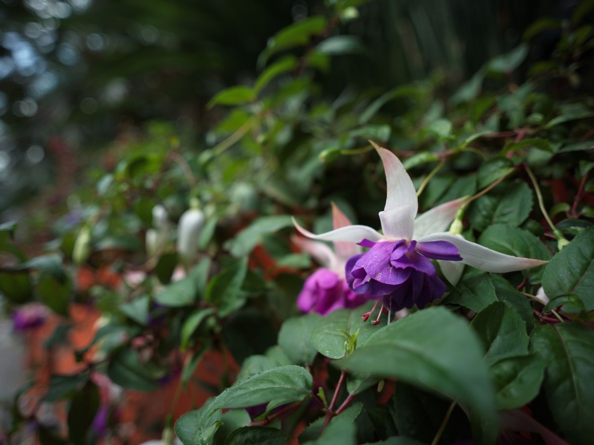 QT 10/04/2026 Fri. John 5:1–18 Father’s Work and Equality with God? 父的工作与与神同等？