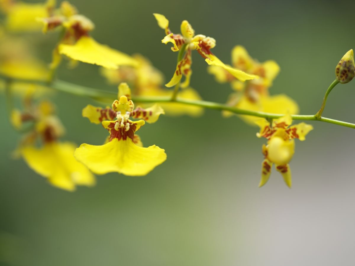 QT 12/04/2026 Sun. Luke 7. No Distance Too Far, No Sin Too Deep 没有太远的距离，没有太深的罪