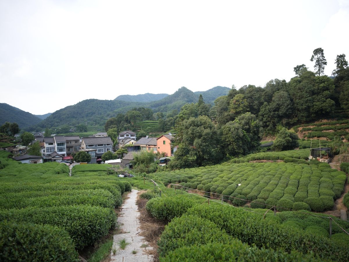 QT 15/04/2026 Wed. Luke 10. When Trainees Are In Front By Design. 当受训者按计划走在前方时