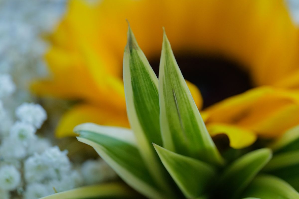 QT 10/05/2026 Sun. Acts 3. Give More Than Spare Change. 给予的，不止是零钱。