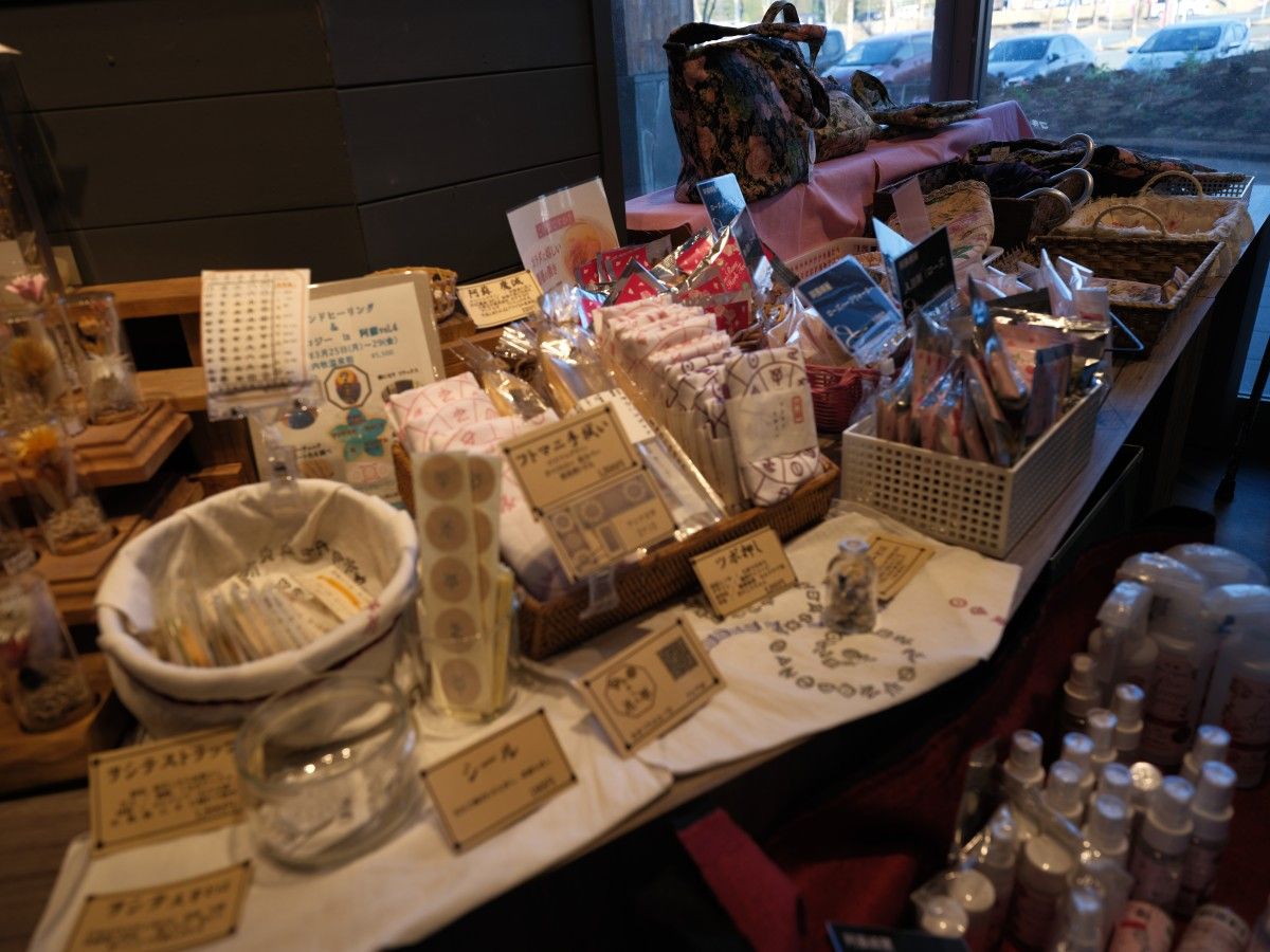 QT 22/05/2026 Fri. John 6:60–71 When Disciples Walk Away from the Bread They Once Received. 当门徒背离他们曾经领受的“生命之粮”时。