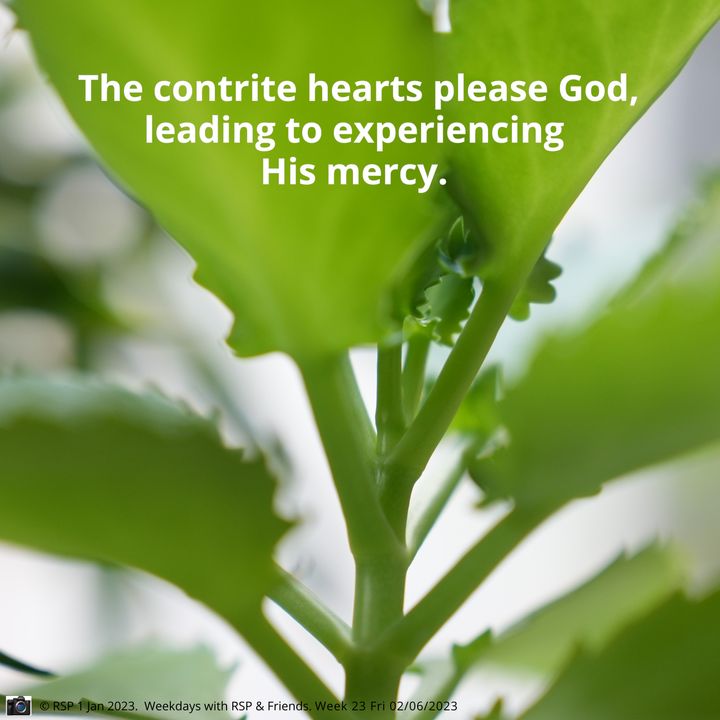 QT: The Contrite Heart Pleases God