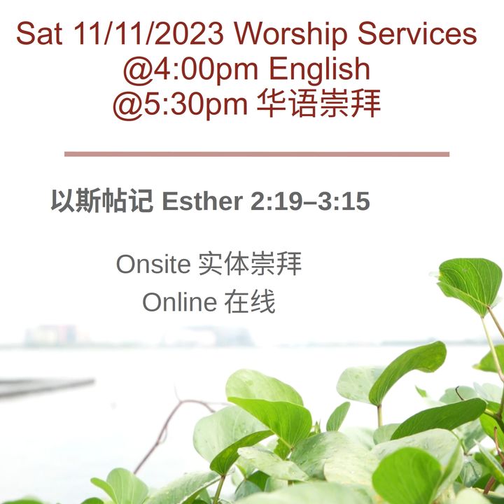 Sat 11/11/2023 Worship Services 崇拜聚会  Esther 以斯帖记 2:19–3:15