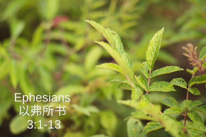 20250308 Worship