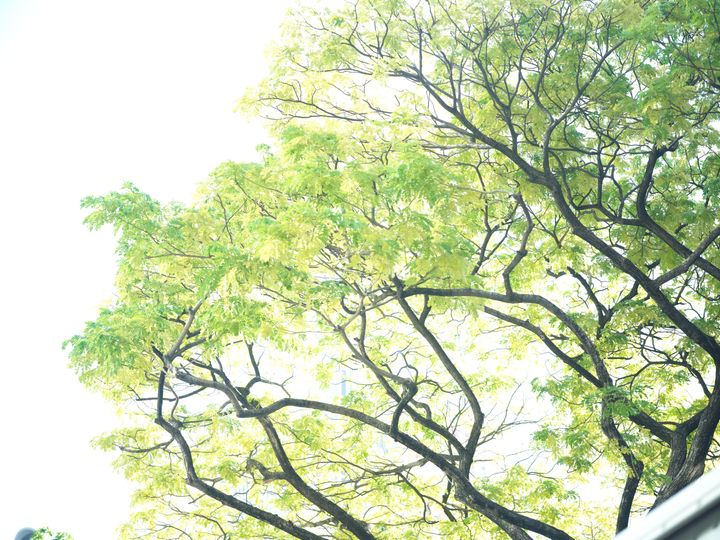 QT 29/08/2025 Fri. Philemon 1:17–25 Grace, Reconciliation, and the Gospel in action. 恩典、和解与福音的实践。