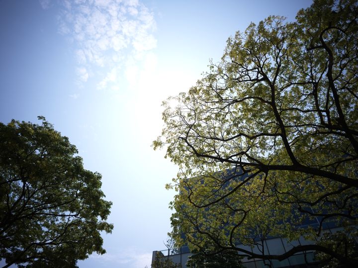 QT 14/09/2025 Sun. Ezekiel 44 “Uncircumcised in heart and flesh” “身心都未受割礼”