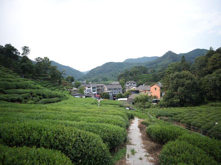 QT 24/10/2025 Fri. Hosea 14 The Ways of the Lord 耶和华的道路