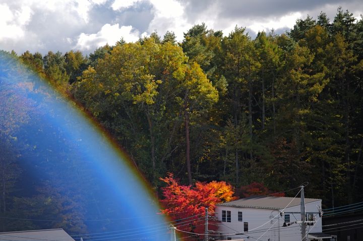 QT 30/11/2025 Sun. Nahum 2  The Lord Restores the Majesty of His People 耶和华恢复祂子民的尊荣