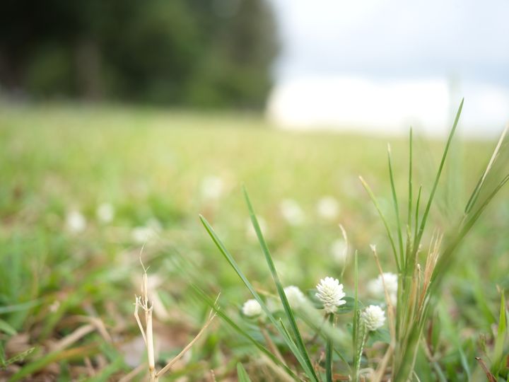 QT 21/12/2025 Sun. Zechariah 9 The Coming King and God's Sovereign Reign 降临的君王与神的至高统治