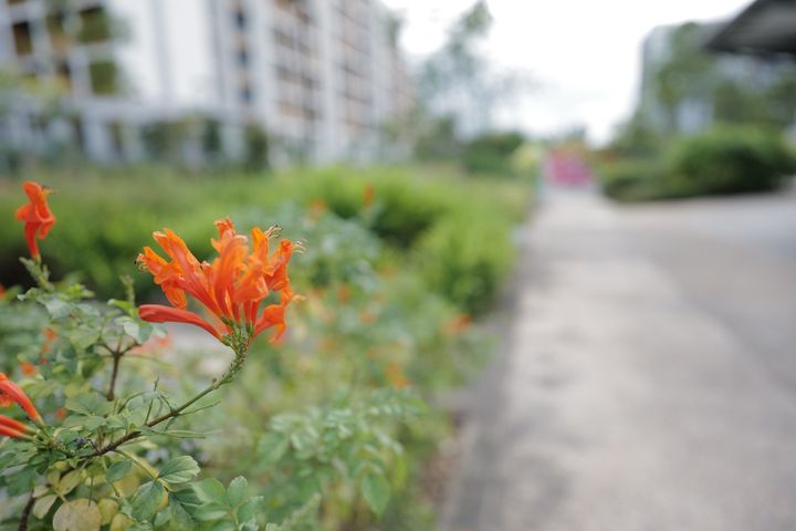 QT 29/12/2025 Mon. Malachi 2 Faithful Instruction, Faithful Living 忠信的教导，忠信的生活