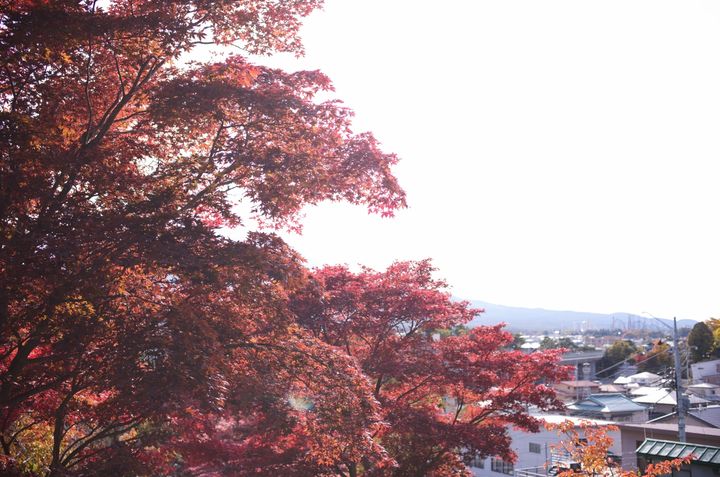 QT 30/12/2025 Tue. Malachi 3 God The Refiner 神是炼净者