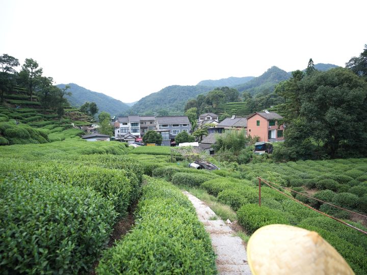 QT 27/01/2026 Tue. John 19. Acquittal Overridden 无罪判决被推翻