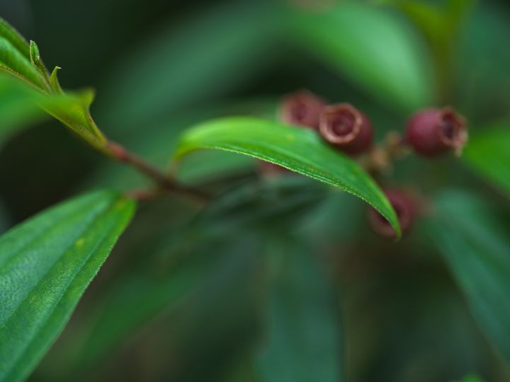 QT 29/01/2026 Thu. John 21. Jesus Who Needs Nothing, Yet Invites Us 无需任何人，却邀请我们的耶稣