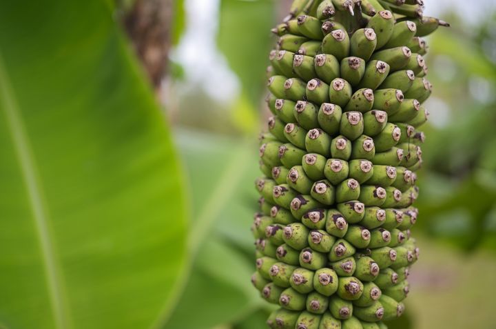 QT 03/02/2026 Tue. Matthew 3. Truth That Dissects. Testimonies That Connect. 剖析的真理，联结的见证