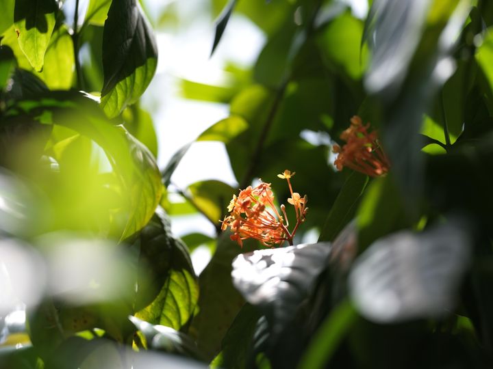 QT 05/02/2026 Thu. Matthew 5. Following the Perfect Father: Going Beyond Human Norms 跟随完全的父亲：超越人类常理