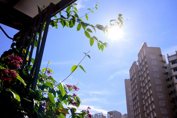 QT 08/02/2026 Sun. Matthew 6. Facing Your Actions: Up or Down? 你做事的目标：向上还是向下？