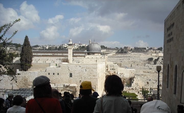 QT 01/03/2026 Sun. Matthew 21. Responses To The King 对君王的不同回应