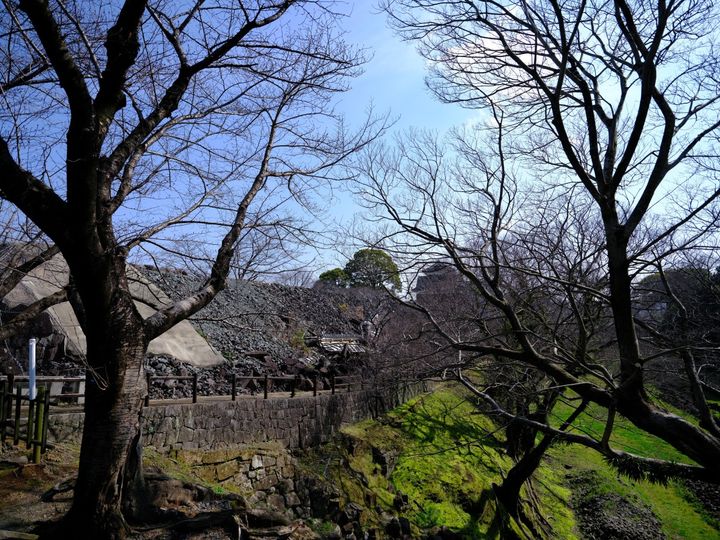 QT 03/03/2026 Tue. Matthew 23. Detecting Motivations: His Kingdom or Mine? 辨明动机：是祂的国度还是我的国度？