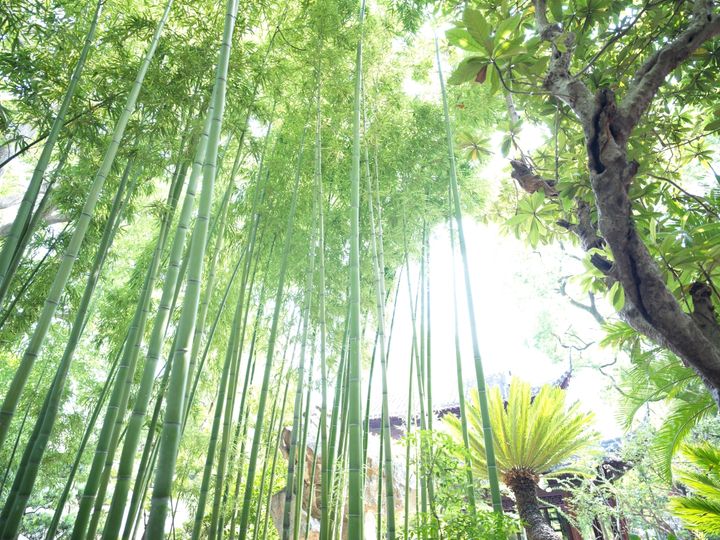 QT 27/03/2026 Fri. John 4:43–54 Faith Before Miracle 奇迹前的信心