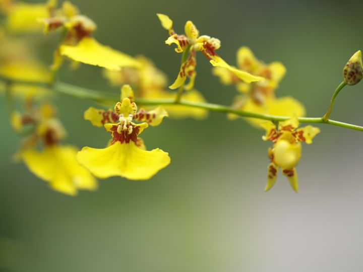 QT 12/04/2026 Sun. Luke 7. No Distance Too Far, No Sin Too Deep 没有太远的距离，没有太深的罪