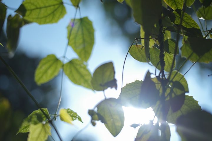 QT 20/04/2026 Mon. Luke 13 Grace on Borrowed Time 借来的时光中的恩典