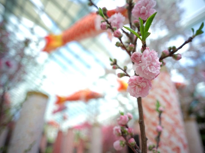 QT 21/04/2026 Wed. Luke 15. Grumbling against Grace: Missing the Joyful Party While Doing Right 抱怨恩典：行善却错失欢庆的筵席