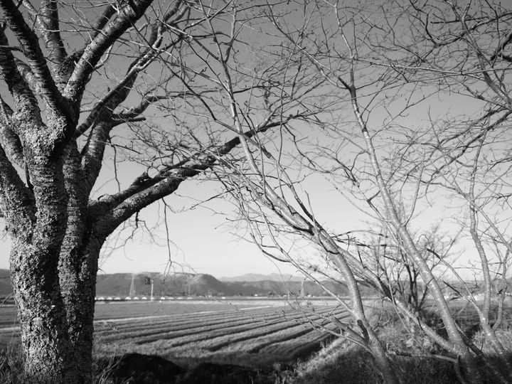 QT 03/05/2026 Sun. Luke 22 Judas, Peter, and the Battle for Your Soul By Satan 犹大、彼得与撒旦对你灵魂的争夺战